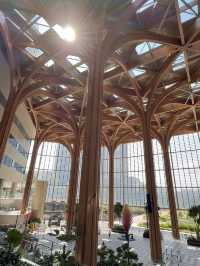Why Geneo Might Be the Most Beautiful Mall in the West