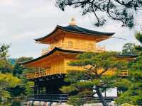 @ KINKAKU-JI IN KYOTO.