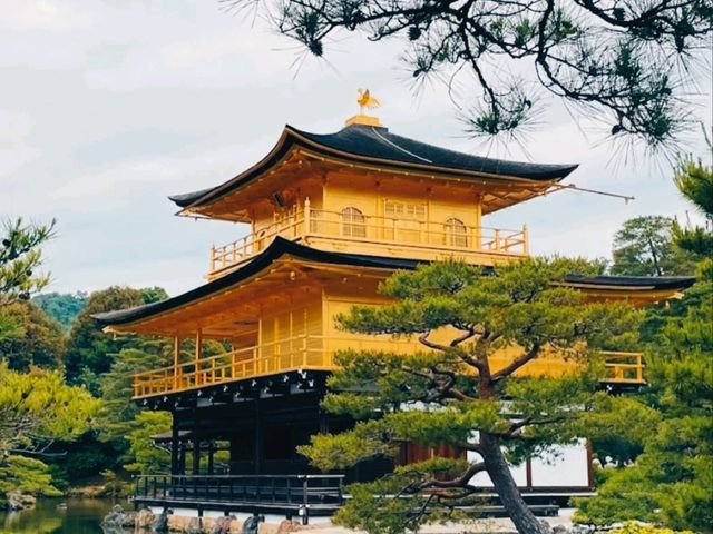 @ KINKAKU-JI IN KYOTO.