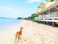 Xanadu Beach Resort Koh Larn