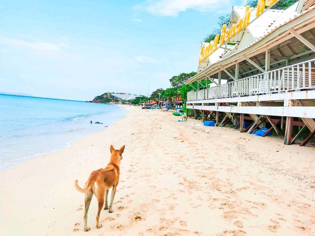 Xanadu Beach Resort Koh Larn
