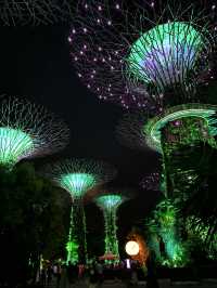 ✨🌿 รีวิวเริ่ด ๆ ของ Gardens by the Bay 🌿✨