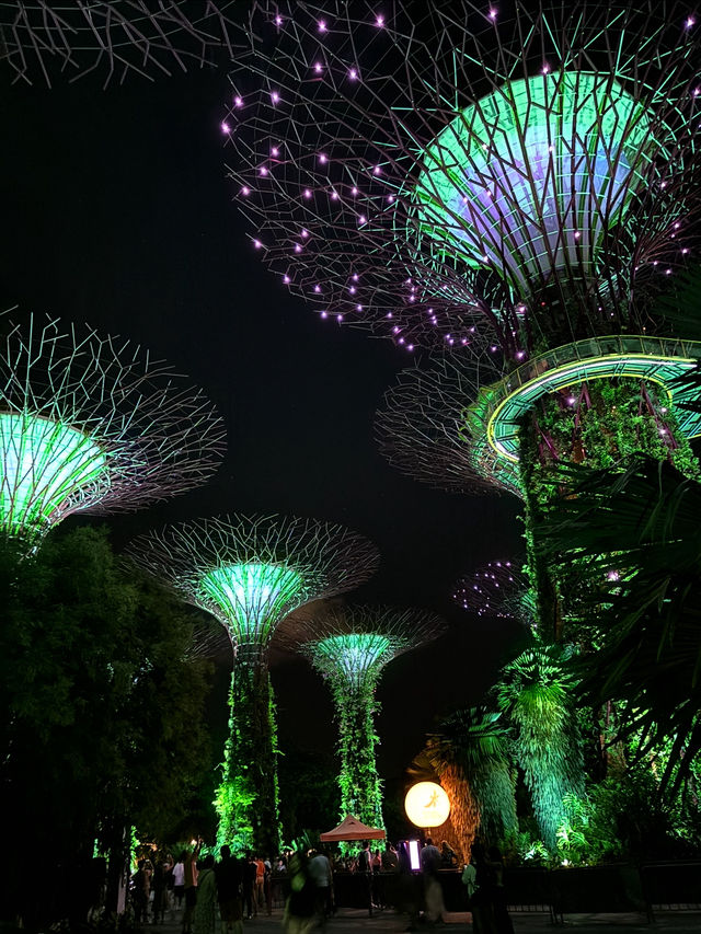 ✨🌿 รีวิวเริ่ด ๆ ของ Gardens by the Bay 🌿✨