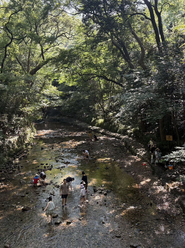 천태종 발상지 국청사, 산책과 힐링은 덤🪷