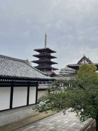 🗼⛩️ Half a Day in Osaka – From Neon to Nirvana