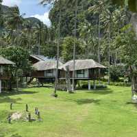 ที่พักแนะนำในกระบี่ tinidee hideaway tonsai beach 