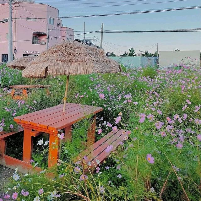 Memile Lounge