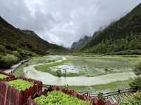 🏔️ Trekking the Last Shangri-La — 📍Luorong Pasture → Milk Lake → Five-Colour Lake 