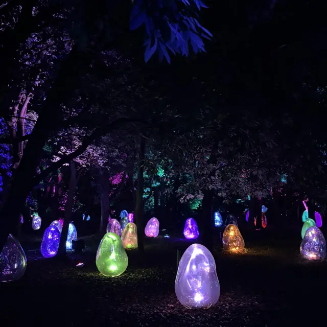 TeamLab Botanical Garden Osaka