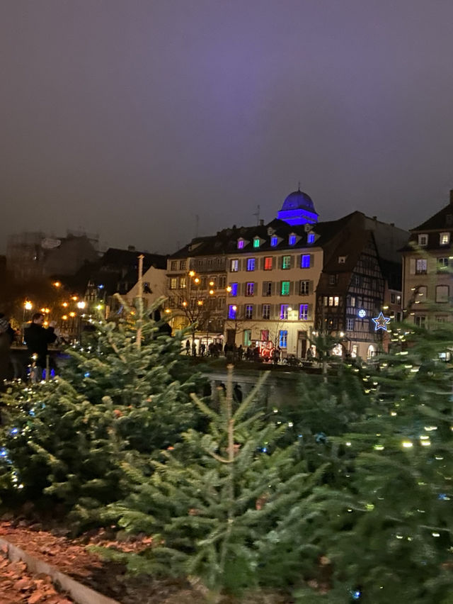 유럽 3대 크리스마스 마켓! 스트라스부르에 가다🎄