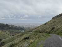 Stunning views of Lyttelton Harbour, the volcanic peaks and ridges of Banks Peninsula