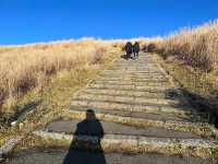 九州行程 阿蘇火山國家公園 草千里公園