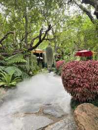  The For Rest Cafe คาเฟ่ธรรมชาติที่หนองคาย 🍃