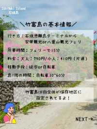 【竹富島】石垣島から15分！日帰りで離島できる島🏝️