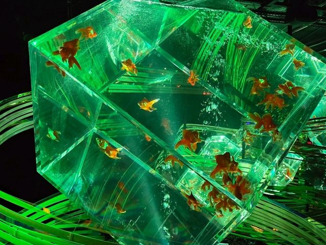 水族館裡的小確幸