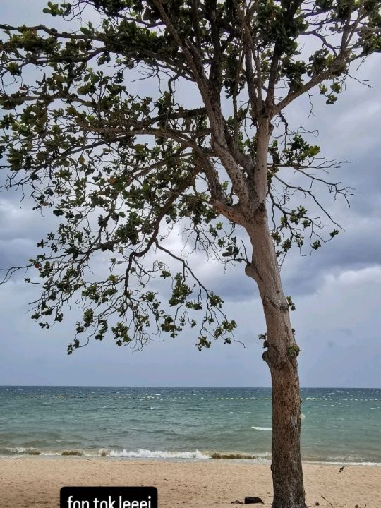 🌧️⛈️ Storm Incoming at the Beach – Nature’s Raw Beauty!