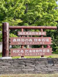 【北海道利尻島】北の最果て利尻山⛰️