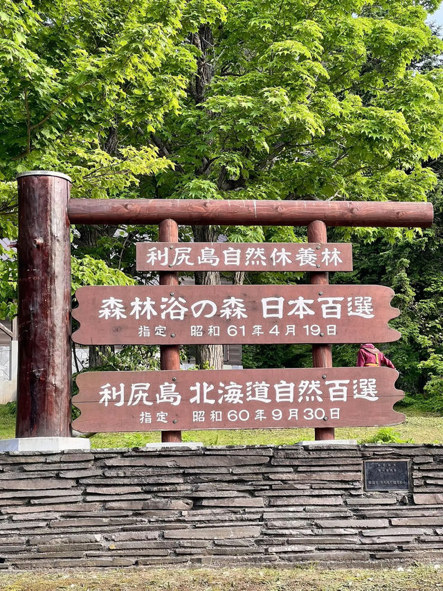 【北海道利尻島】北の最果て利尻山⛰️