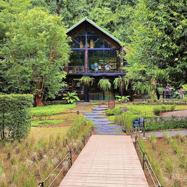 Into The Forest Café กระบี่