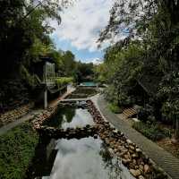 A Forest Sanctuary of Indulgence and Escape