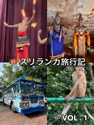 🇱🇰 Sri Lanka Travel Diary VOL.1