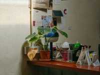Mundane Coffee Break in Penang