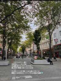 🇦🇹オーストリア｜ウィーンで味わう、音楽と芸術に包まれる優雅なひととき🎻☕️