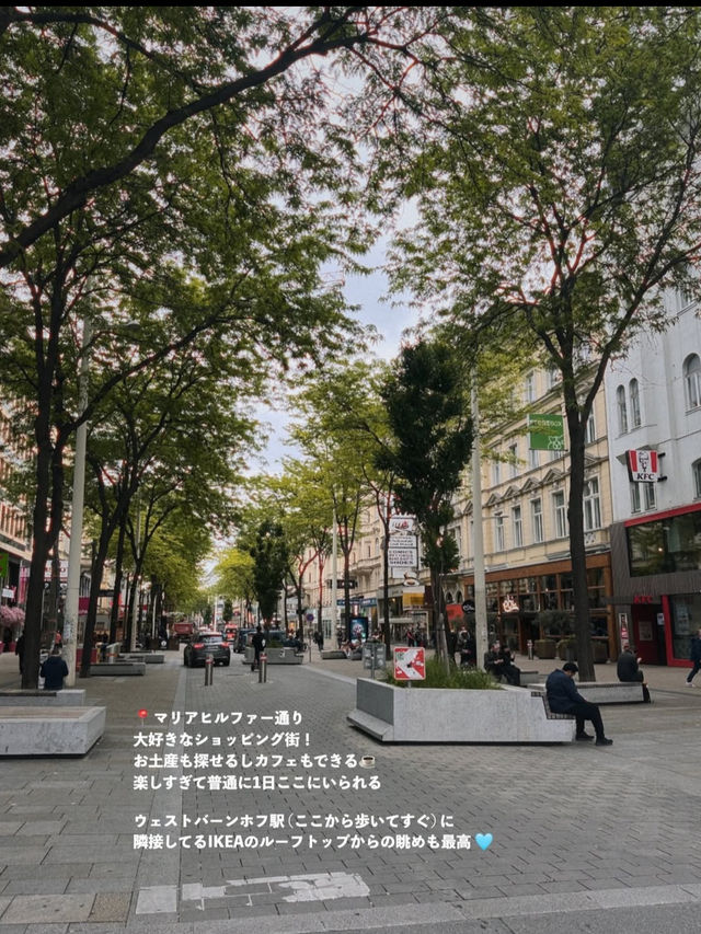 🇦🇹オーストリア｜ウィーンで味わう、音楽と芸術に包まれる優雅なひととき🎻☕️