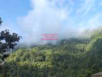 Agro tourism in kurseong hills. 
