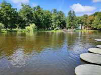 Forest Feels & Cat Surprises at Zelenogradsk City Park