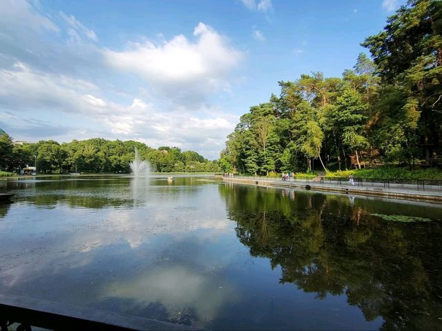Seaside Chill and Forest Vibes in Svetlogorsk