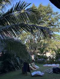 Balii