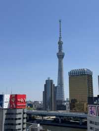 다녀오면 살찌는 TOKYO TRIP 