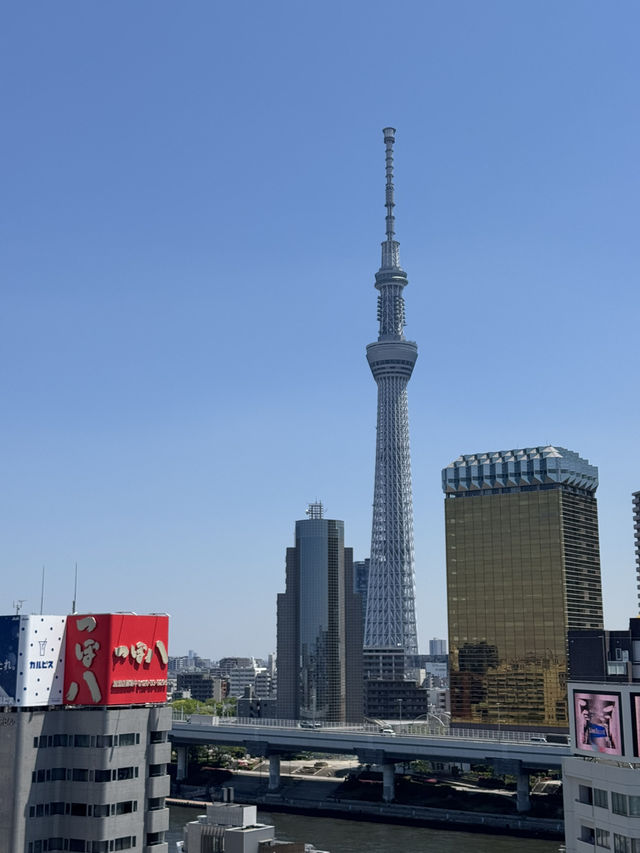 다녀오면 살찌는 TOKYO TRIP 