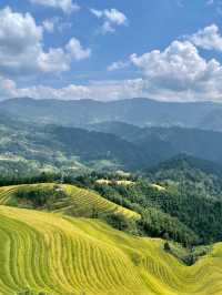 Where Dragons Sleep: The Beauty of Longji Terraces
