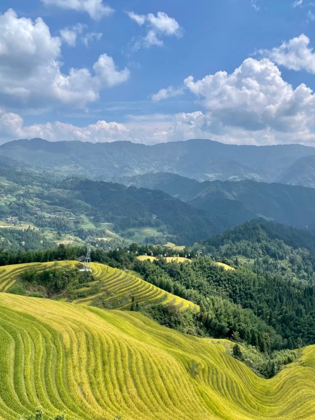 Where Dragons Sleep: The Beauty of Longji Terraces
