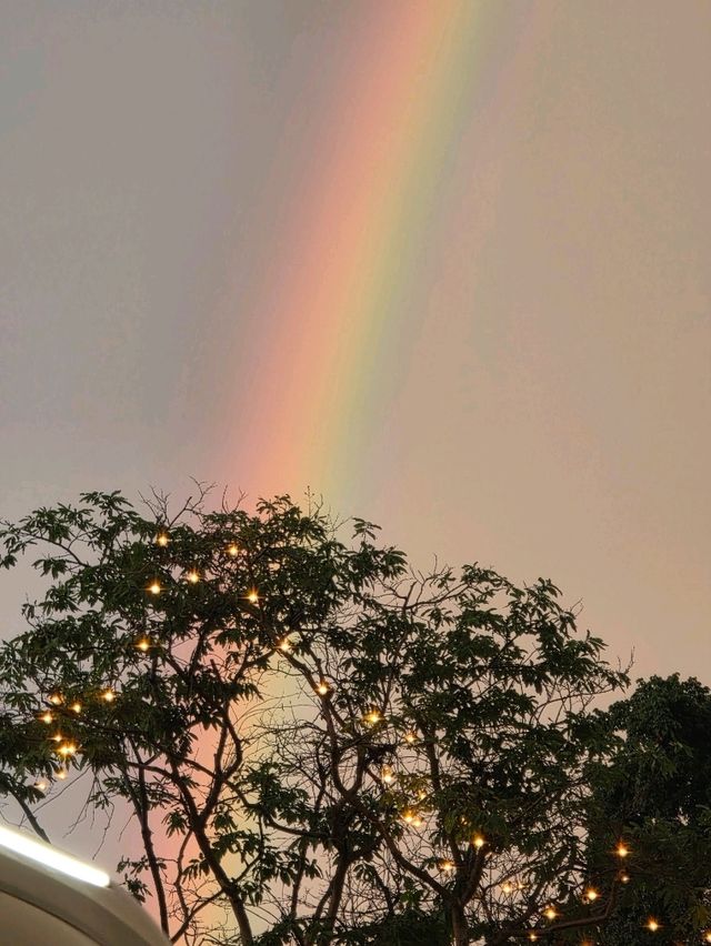 Siem Reap's SunSet 