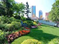 Jing’an Park: A Serene Oasis in the Heart of Shanghai