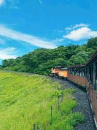 🇰🇷🚂💨 濟州島必去景點🌳森林小火車