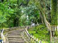 Kenrokuen Garden: A Living Painting in Kanazawa