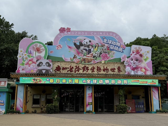 QUICK CHIMELONG GUANGZHOU + CITY TOUR!!!