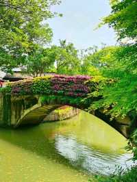 Hangzhou’s Liquid Emerald – Where Canals, Poetry & Biodiversity Coexist