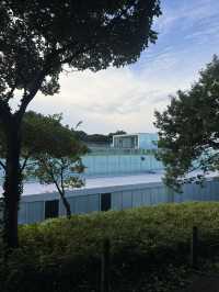 🖼️ 横須賀美術館 — 海と緑に抱かれた絶景アート空間
