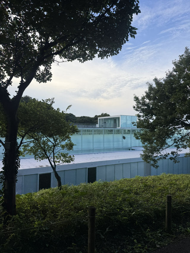 🖼️ 横須賀美術館 — 海と緑に抱かれた絶景アート空間 🖼️ 横須賀美術館 — 海と緑に抱かれた絶景アート空間
