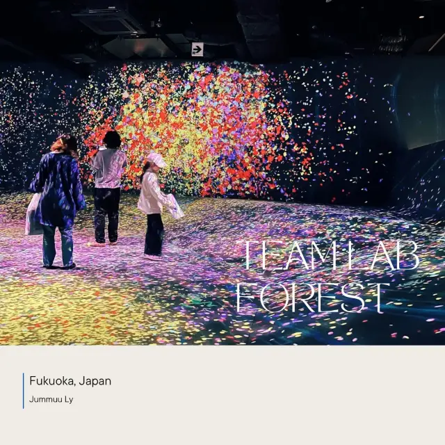 Teamlab Forest | Fukuoka