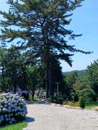 잠시 멈추는 마음의 쉼표