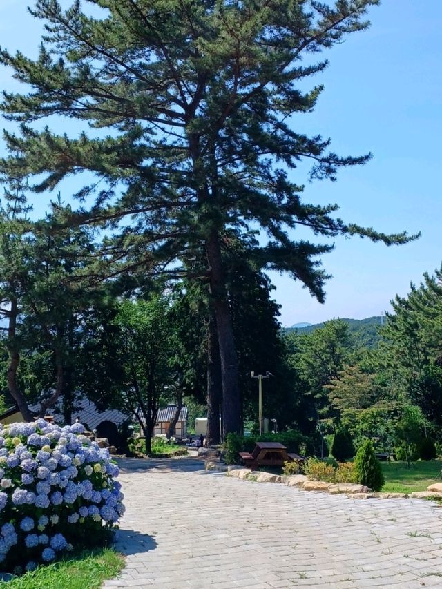 잠시 멈추는 마음의 쉼표