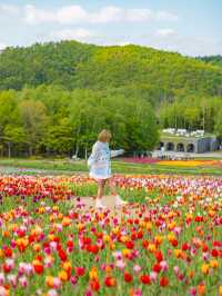 Takino Suzuran Hillside Park ชมทุ่งทิวลิปสุดอลัง🌷