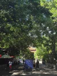 나트랑 사원 가이드 | 룽선사 (Long Son Pagoda, Nha Trang) 