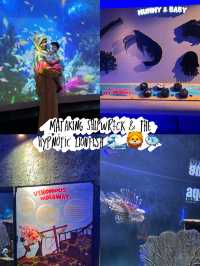 Mataking Shipwreck & The Hypnotic Lionfish 🌊🦁🐟